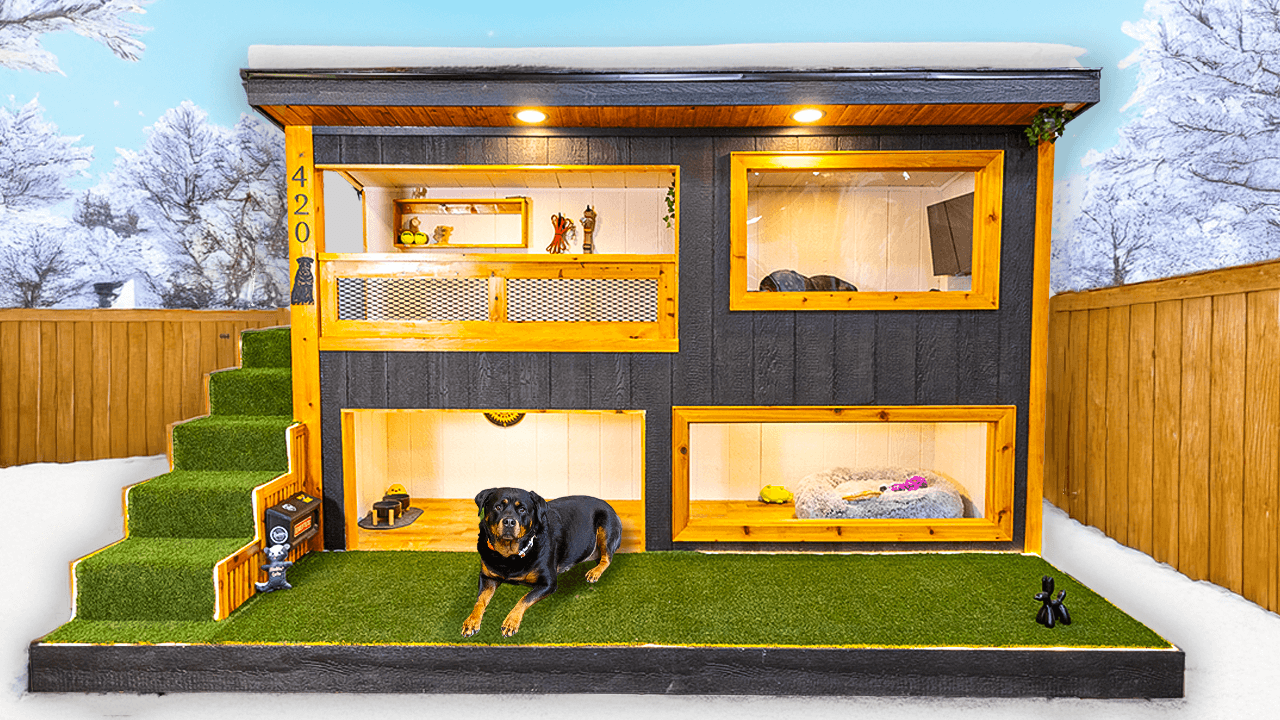 Doghouse Homemade Dog Pen Ideas DIY Insulated Dog House Plans With