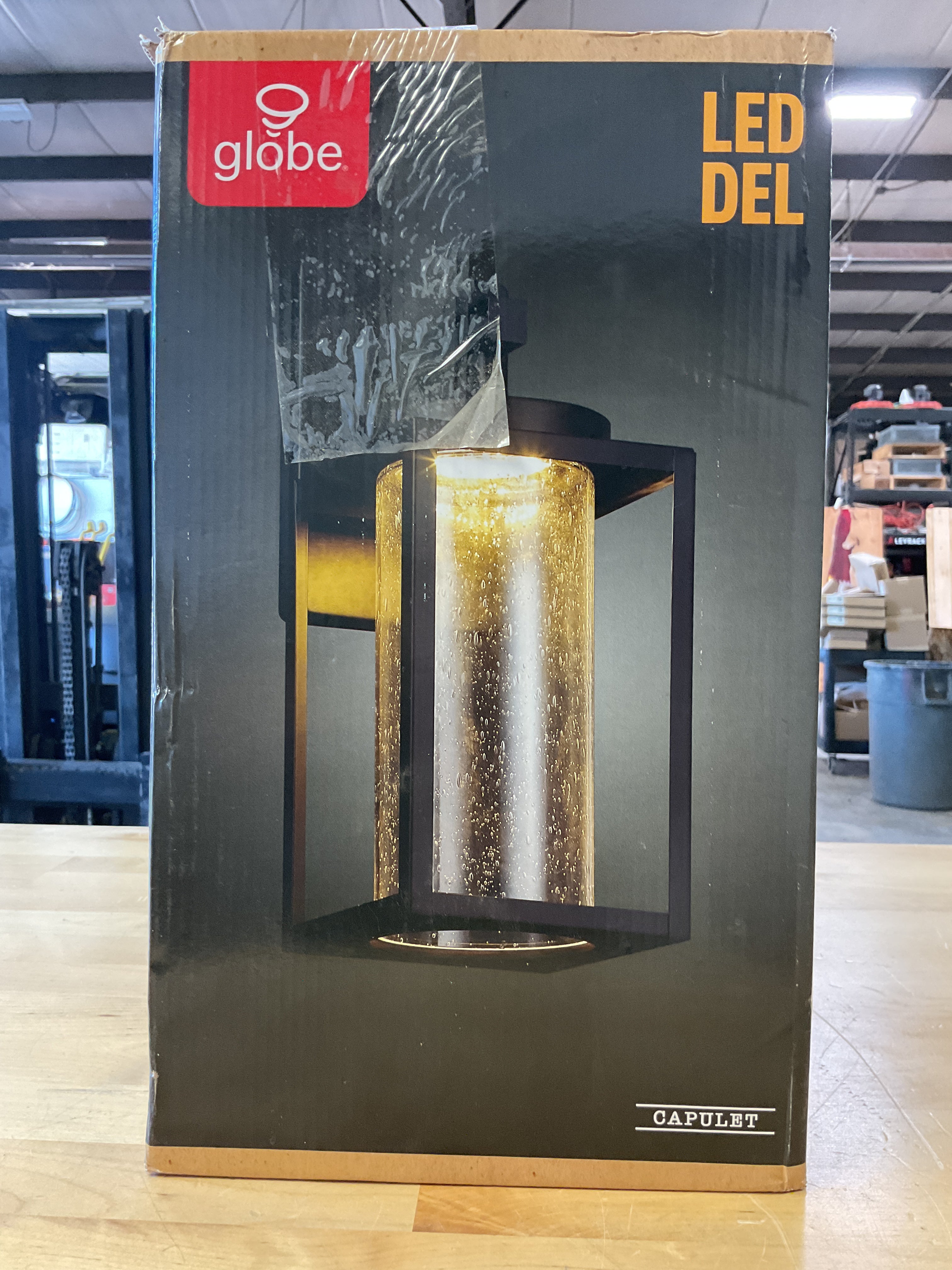 Globe Led Capulet Outdoor Wall Mount Light